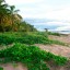 Zee- en strandweer in Iracoubo voor de komende 7 dagen
