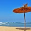 Wanneer kunt u gaan zwemmen in Bouznika: zeetemperatuur maand per maand