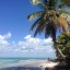 Getijden in Punta Cana voor de komende 14 dagen