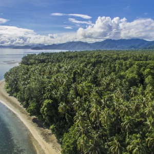 Solomon eilanden