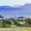 Getijden tijden in Tanzania